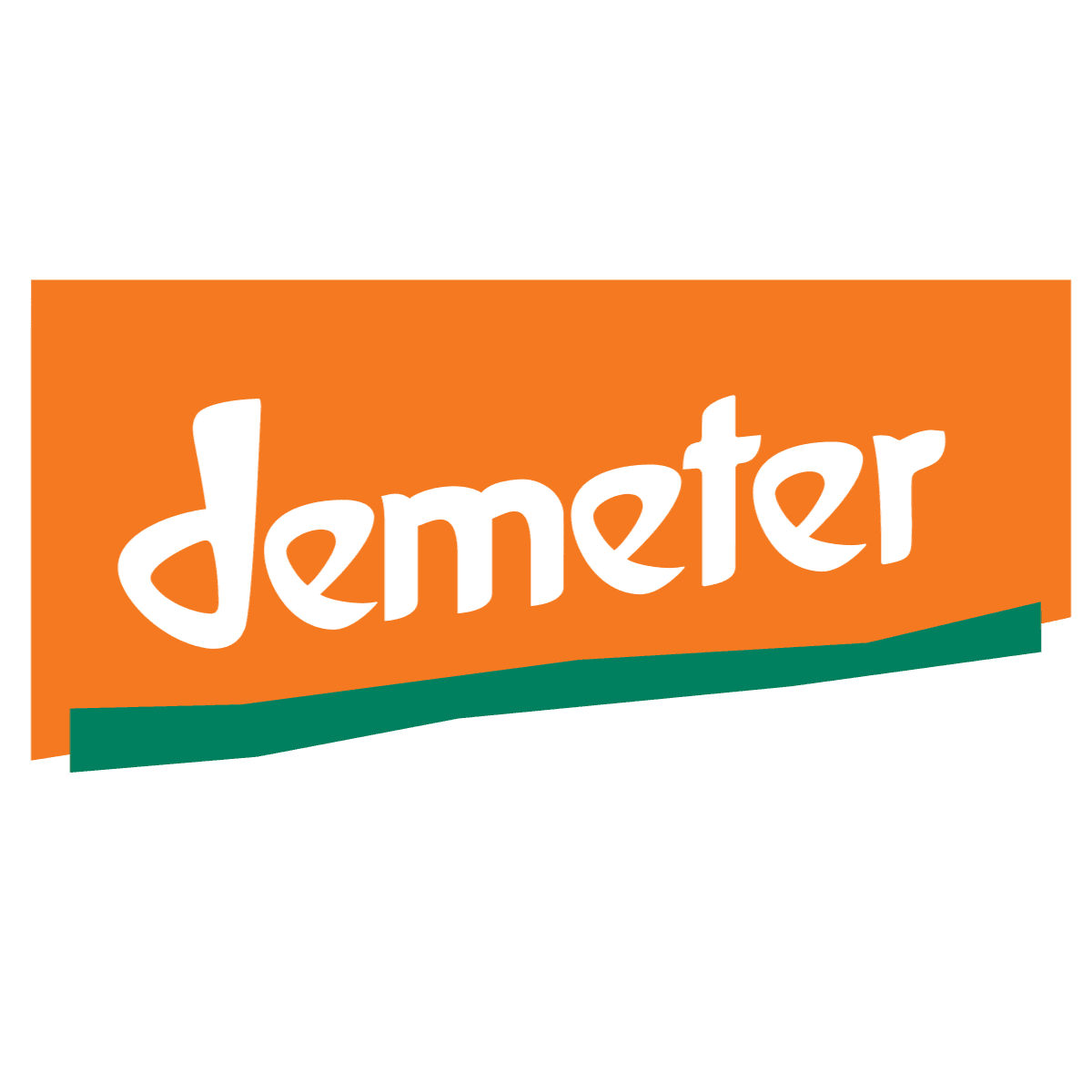 Zucchini von dhm