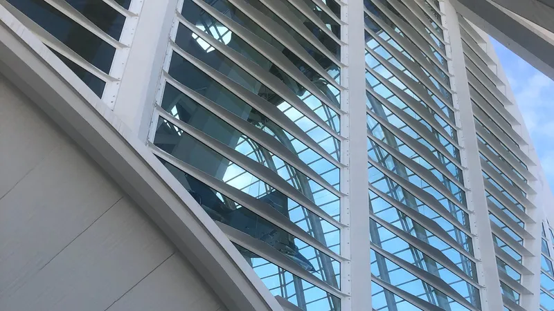 Äpfel von deinHofmarkt.hamburg
