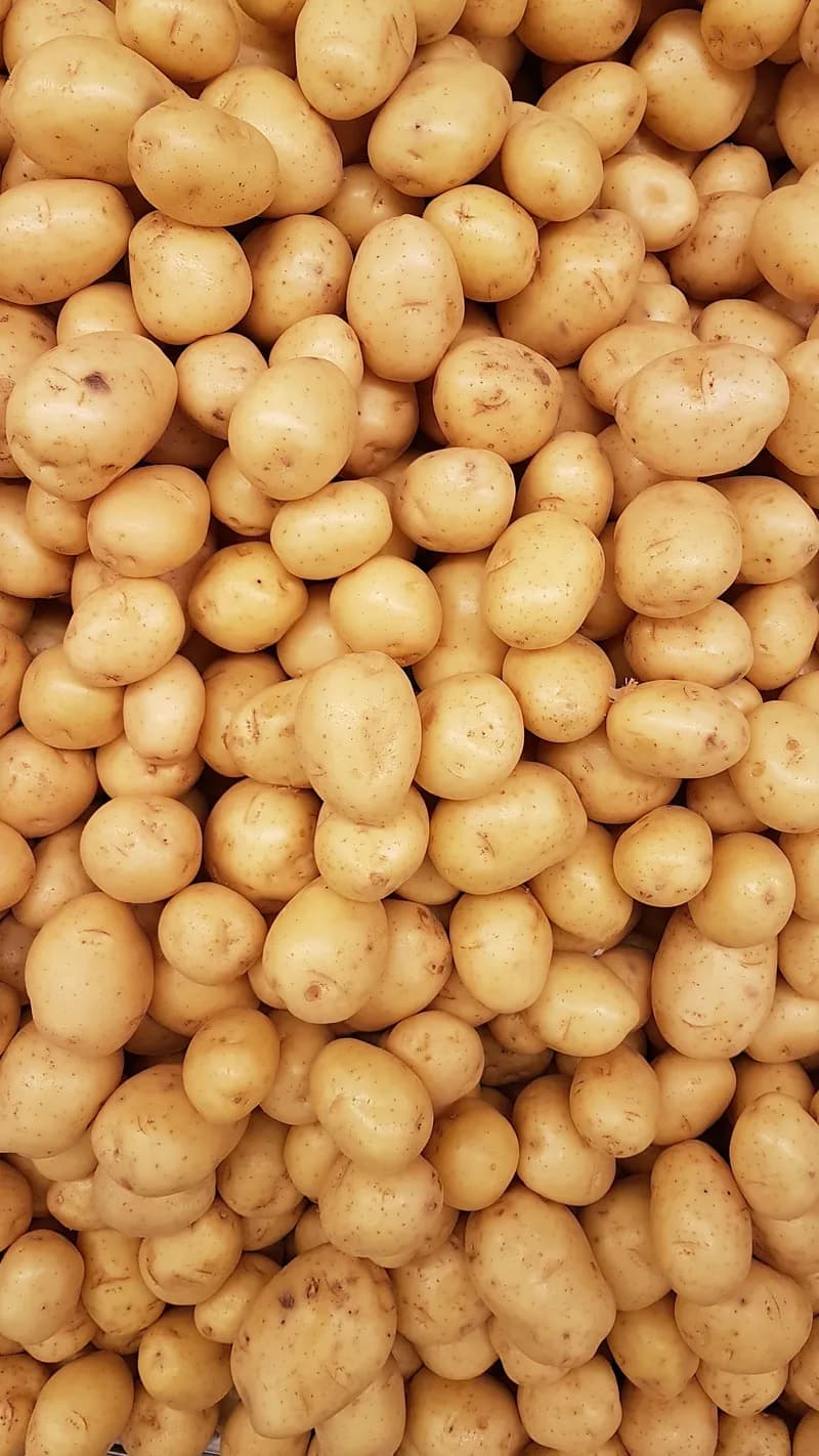 Kartoffeln von Landwirt Karl