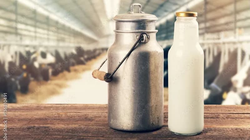 Milch von Klaus Müller GmbH